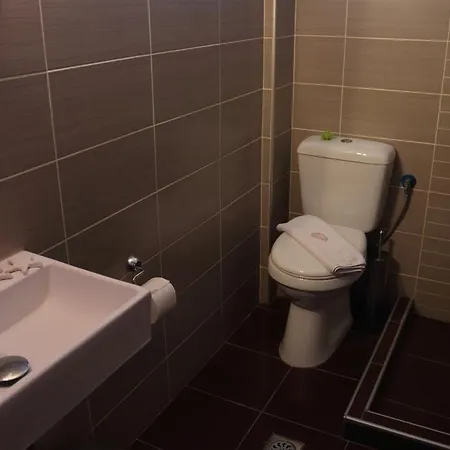 Theopisti Hotel 2*