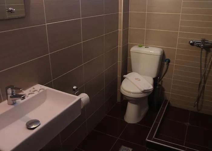 Theopisti ホテル 2*