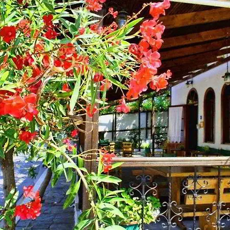 Theopisti 2* Ouranoupoli